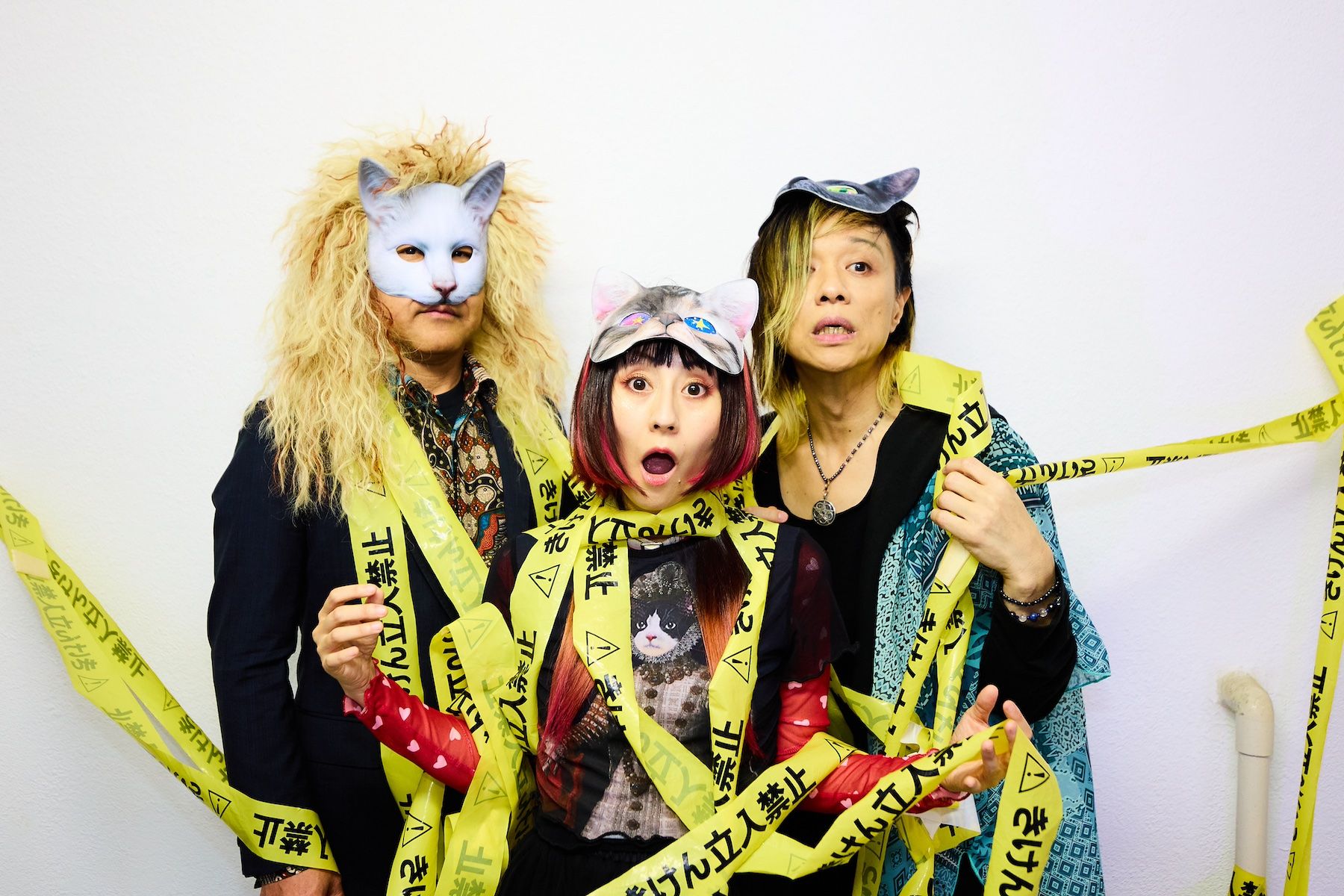 ニューロナ Tomoの写真